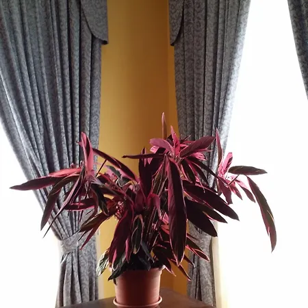 La Breccia A Porta Pia Panzió 4*