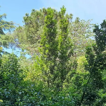 La Breccia A Porta Pia Panzió 4*